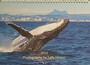 2026 Humpback Whale Calendar